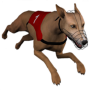 icon GH manager(Dog Racing GHmanager)