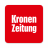 icon Krone(coroa) 3.1.50465543