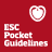 icon Guidelines(ESC Pocket Guidelines) 6.8.0