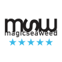 icon MSW(MSW Previsão para o Surf)