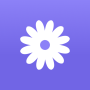 icon daisies()