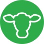 icon AgroVision Cows Mobile(AgroVision Cows)