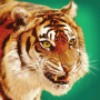 icon Talking Tiger(Falando tigre)