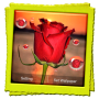 icon 3D Rose Live Wallpaper(3D Rose Papel De Parede Animado)