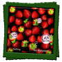 icon Strawberry Live Wallpaper (Morango papel de parede ao vivo)