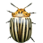 icon Colorado Potato Beetle(Crash of Beetle) 1.5.5