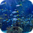 icon Real Aquarium Video Wallpaper(Papel de Parede Real Aquarium Video) 5.0