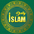 icon Daily Islam(Daily Islam - Alcorão, Ramadan
) 1.1