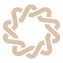 icon Mnemo