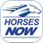 icon Horses Now(HorseRacesNow Meter App - Calculadora de) 3.4.8