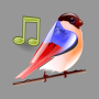 icon Birds Sounds(Pássaros soa relaxar e dormir)