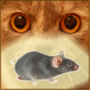icon Mouse on screen for cat(Mouse na tela para um gato)