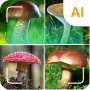 icon Mushroom identifier (Identificador de cogumelo)