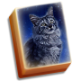 icon Cat Tailz(Mahjong oculto Caudas de gato: CatApp grátis)