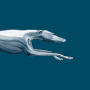 icon Greyhound(Greyhound: Buy Bus Tickets)