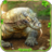 icon Kamodo Dragon Simulator(Komodo Dragon : Dragon Games) 8.0