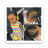 icon com.ad.kidshairstylebraids() 1.0.0
