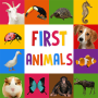 icon First Animals for Baby(Primeiras Palavras para o Bebê: Animais)