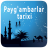 icon Paygambarlar tarixi(Payg'ambarlar tarixi Áudio
) 1.0