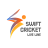 icon Swift Cricket Live Line(CricketNow Live Line) 1.0.18