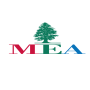 icon MEA(Companhias Aéreas do Oriente Médio - Air Liban)
