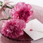 icon Carnation for Mum - Wallpapers (Carnation for Mum - Papéis de parede)