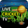 icon Cricket Score(ao vivo TV de críquete - Empréstimo de críquete HD
)