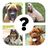 icon QUIZ: Razas de perro(TUDO QUIZ: Razas de perro
) 8.4.4z