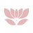 icon 6.2