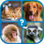 icon Guess the word(Adivinhe a palavra: Word Puzzle)