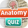 icon Anatomy Quiz(Anatomy Quiz de Curiosidades)