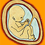icon FetalKickCount(Contagem de Chute Fetal)