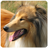 icon Dog Sounds(Dog Sounds for Dog) 1.7