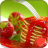 icon Pancakes, fritters, curd fritters(Panquecas, bolinhos) 8.0
